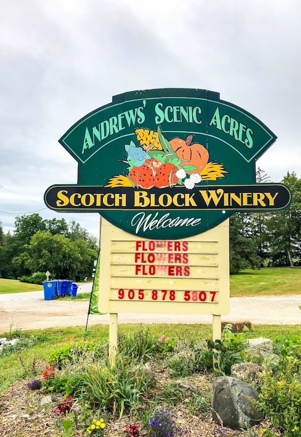 Andrews Farm Market & Winery 5