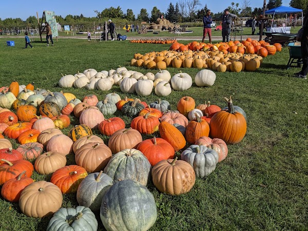 Andrews Farm Market & Winery 4