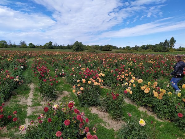 Andrews Farm Market & Winery 3