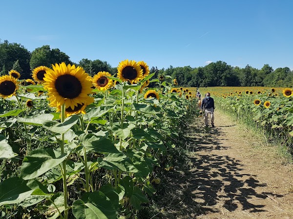 Andrews Farm Market & Winery 2