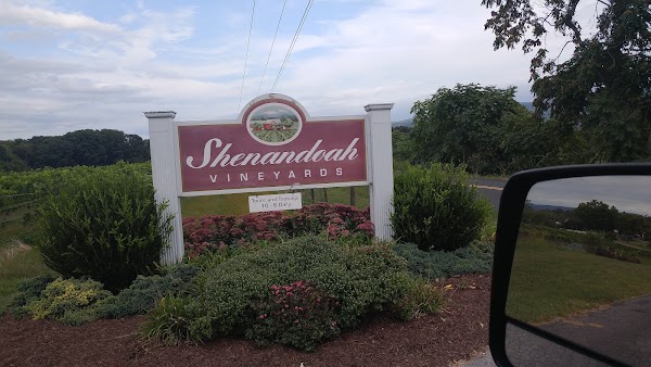 Shenandoah Vineyards