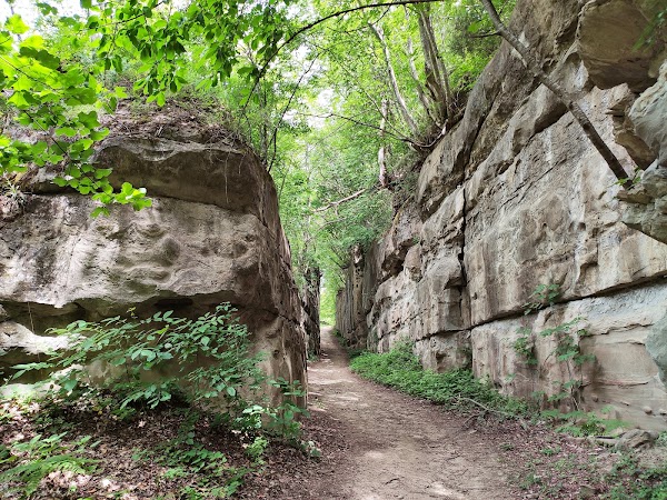 Sasso Spaccato (o Tassinara) 1