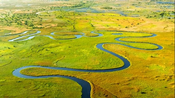 Okavango Delta 1