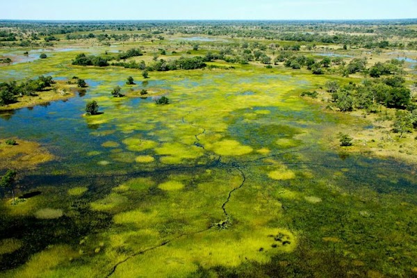 Okavango Delta 5
