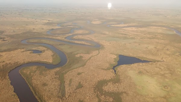 Okavango Delta 3