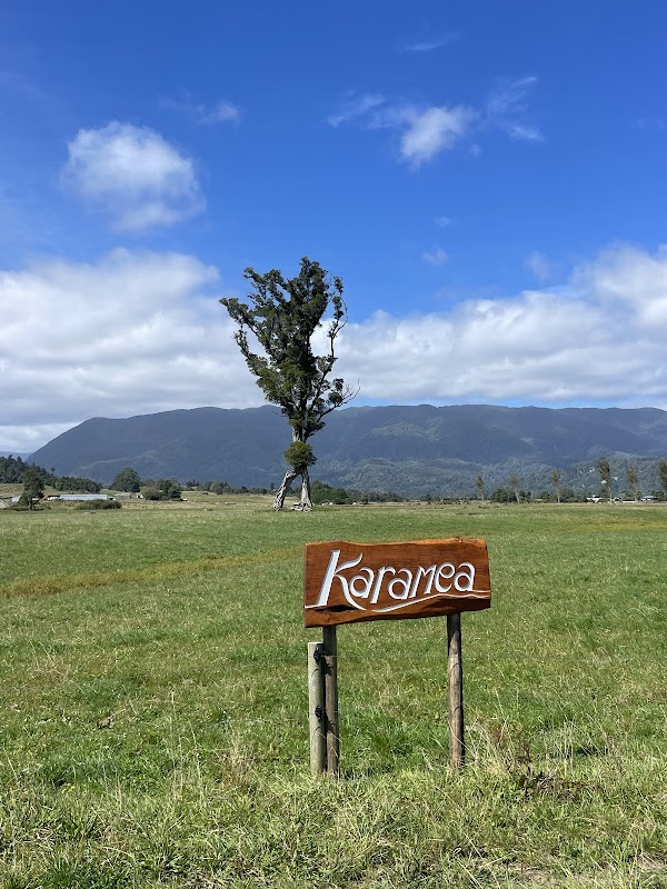 Karamea Walking Tree 5