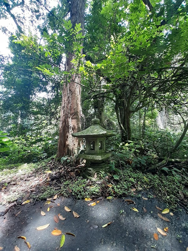 Bukit Brown 'Avatar' Trees 5
