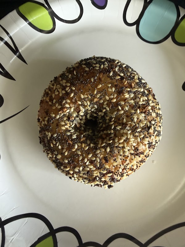PopUp Bagels 3