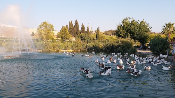 Pamukkale 5