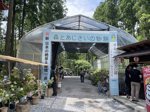 Michinoku Hydrangea Garden