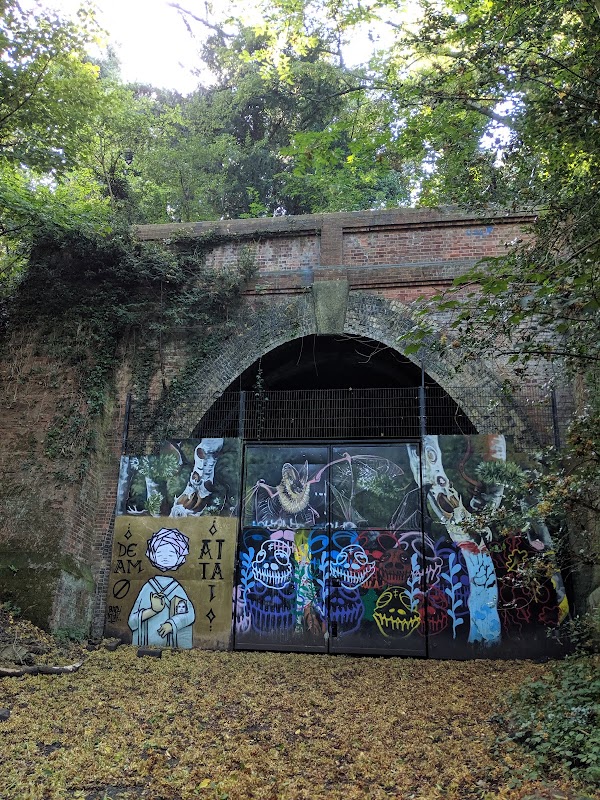 Sydenham Hill Wood