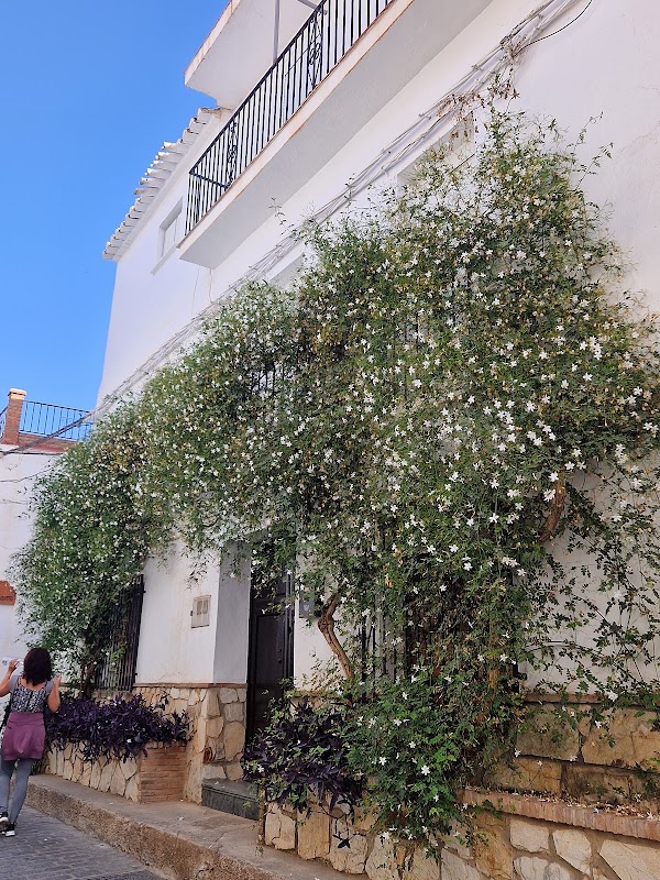 Canillas de Aceituno 5