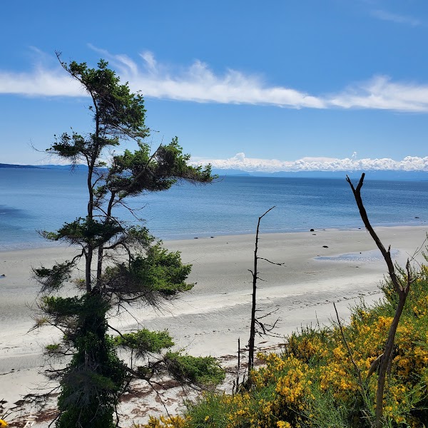 Savary Island 2