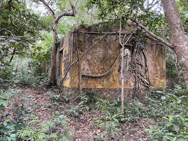 Sở Rẫy