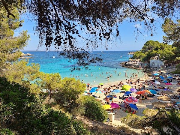 Cala Comtesa 4