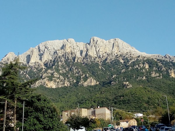 Oliena