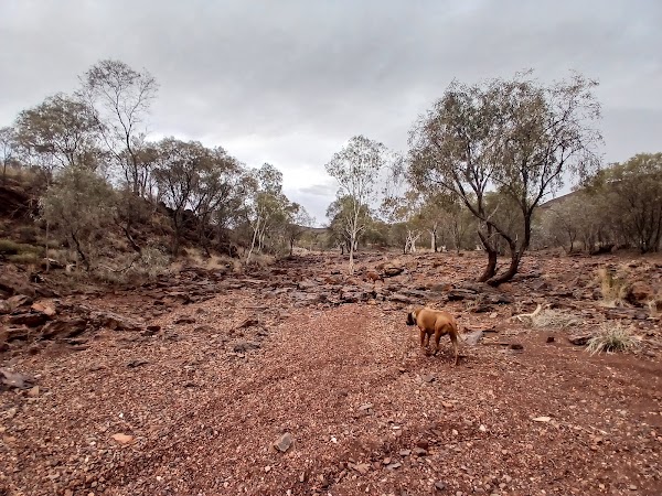 Tiger Eye Pool camp site 2