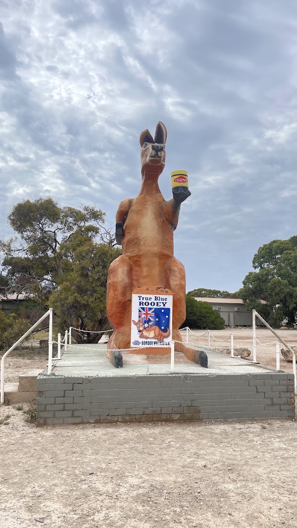 Nullabor Links - Hole 6 - Border Kangaroo 1