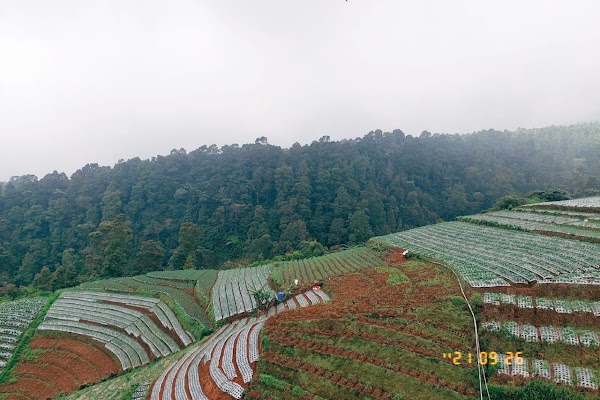 Nampan 1