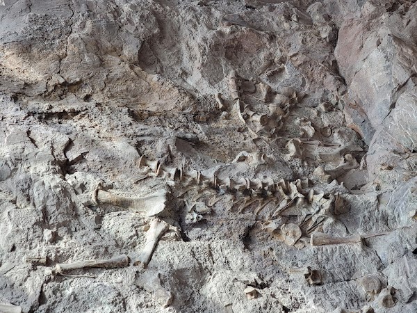 Dinosaur National Monument 2