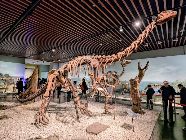 Nanjing Museum 4
