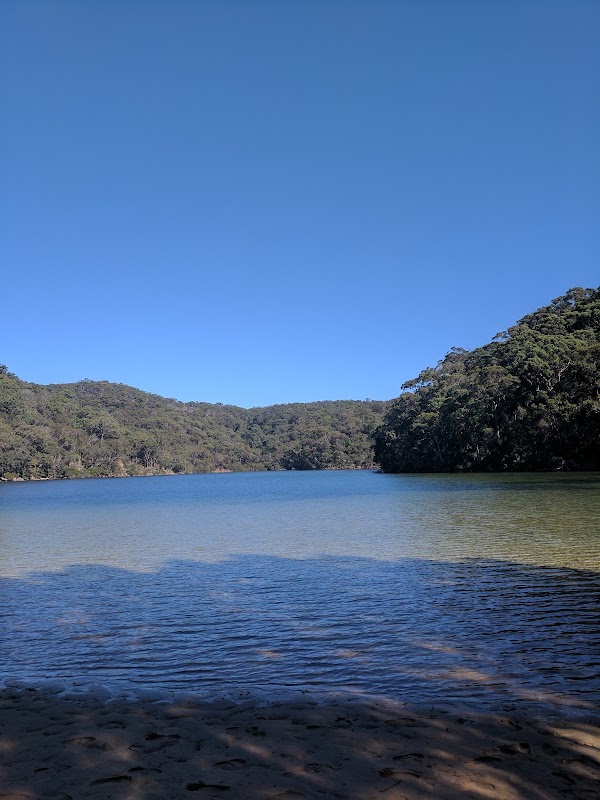 The Basin