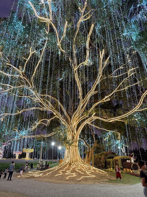 Chiang Mai P.A.O. Public Park 2