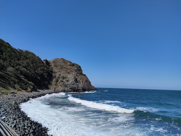 Itoshima's Totoro Forest 5