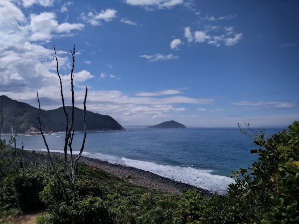 Itoshima's Totoro Forest 4