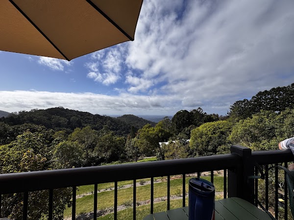 The View on Mount Glorious 3