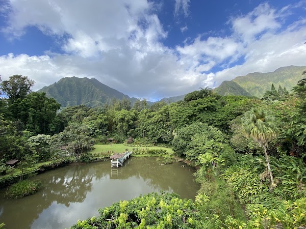 Haleiwa Joe's Haiku Gardens 4