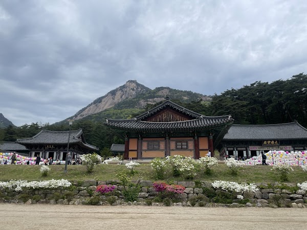 Korea 2026 45