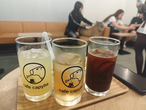 cafe capyba 5
