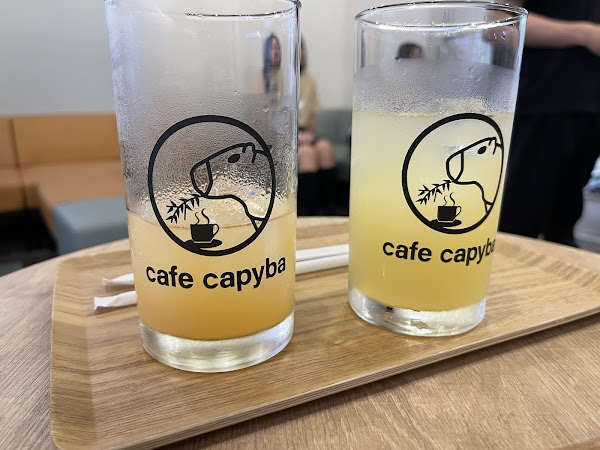 cafe capyba 3