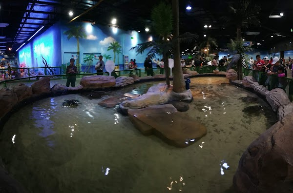 Hangzhou Crazy Appleland 4