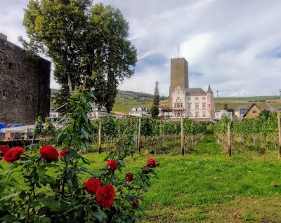 Rüdesheim am Rhein 1