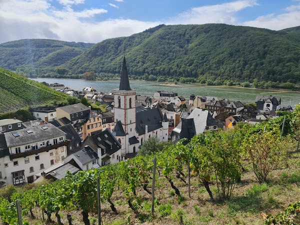 Rüdesheim am Rhein 5