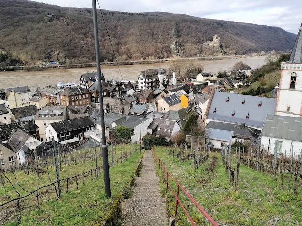 Rüdesheim am Rhein 3