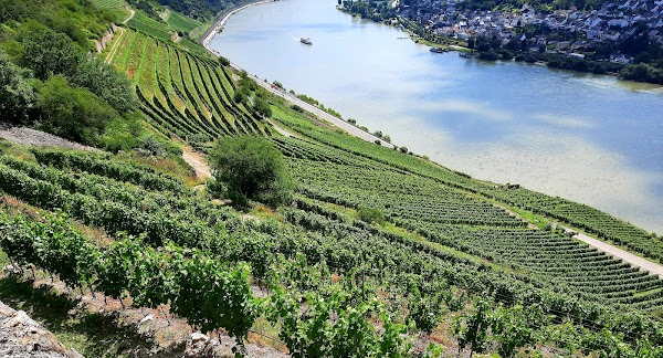 Rüdesheim am Rhein 2