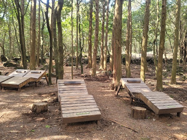 Seogwipo Forest of Healing 1