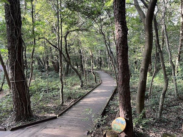 Seogwipo Forest of Healing 5