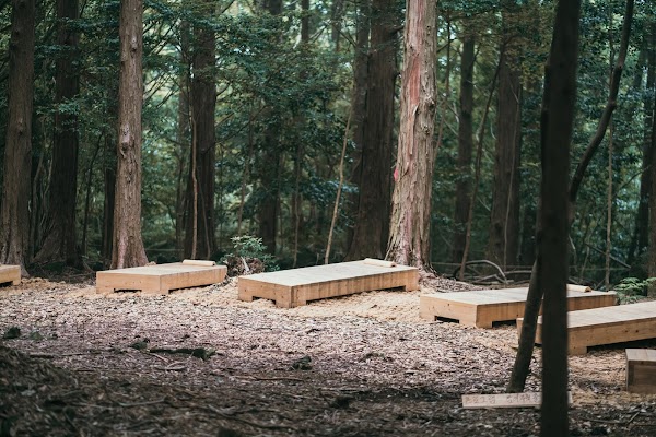 Seogwipo Forest of Healing 4