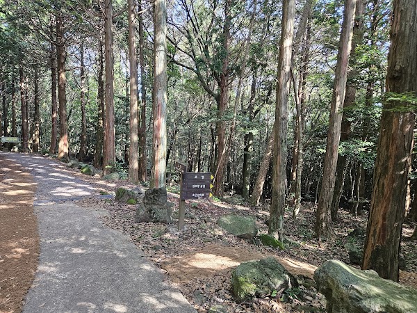 Seogwipo Forest of Healing 3