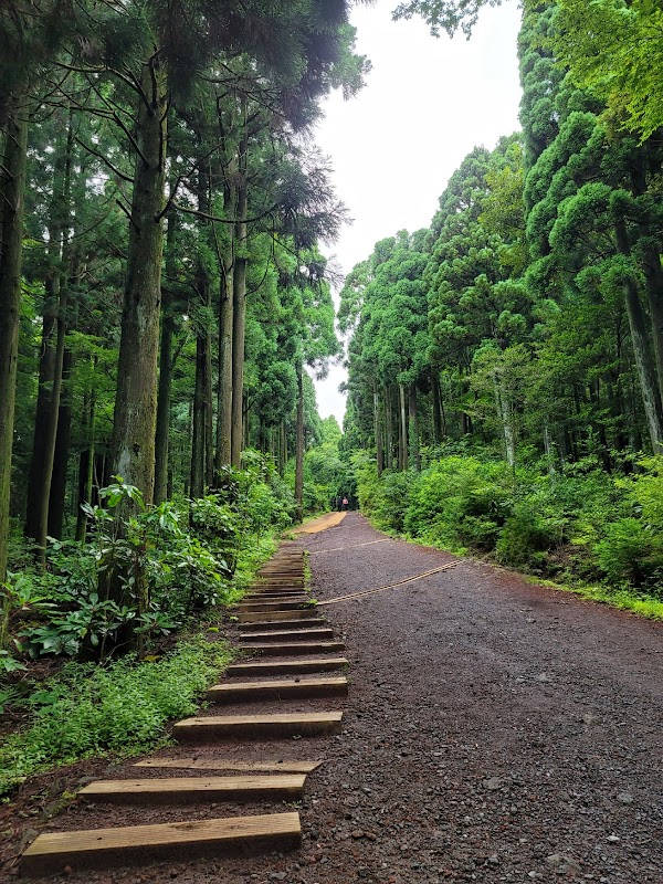 Seogwipo Forest of Healing 2
