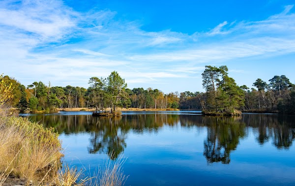 Oisterwijkse Bossen en Vennen 1