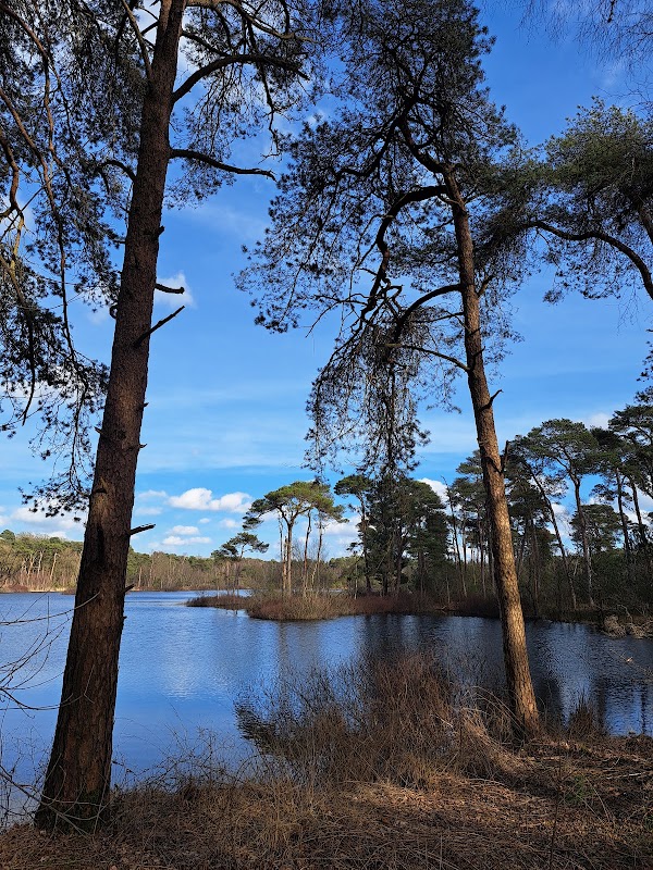 Oisterwijkse Bossen en Vennen 5