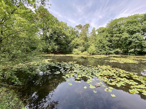 Oisterwijkse Bossen en Vennen 2