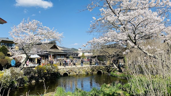 Oshino Hakkai (the Eight Seas of Oshino) 3