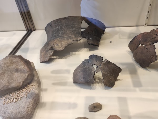 musée d'art et d'archéologie de Laon 2