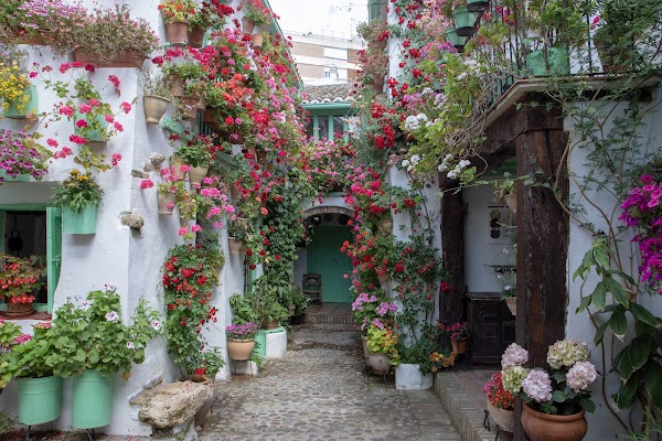 Patios de San Basilio